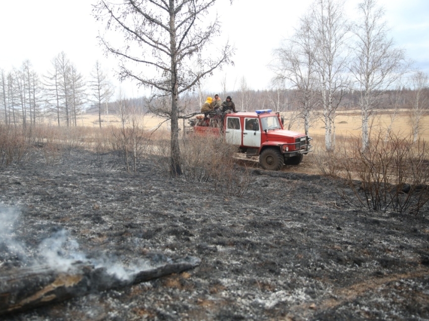 Локализован пожар в дачном кооперативе в районе станции Лесная